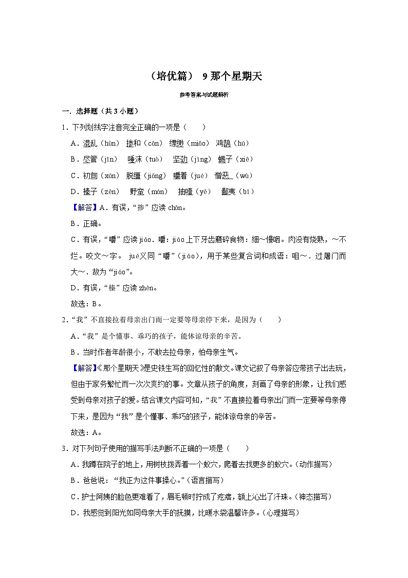 (培优篇)人教部编版六下语文 同步分层作业9《那个星期天》第3页