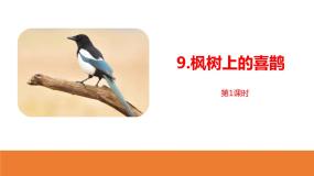 人教部编版二年级下册枫树上的喜鹊课文配套ppt课件