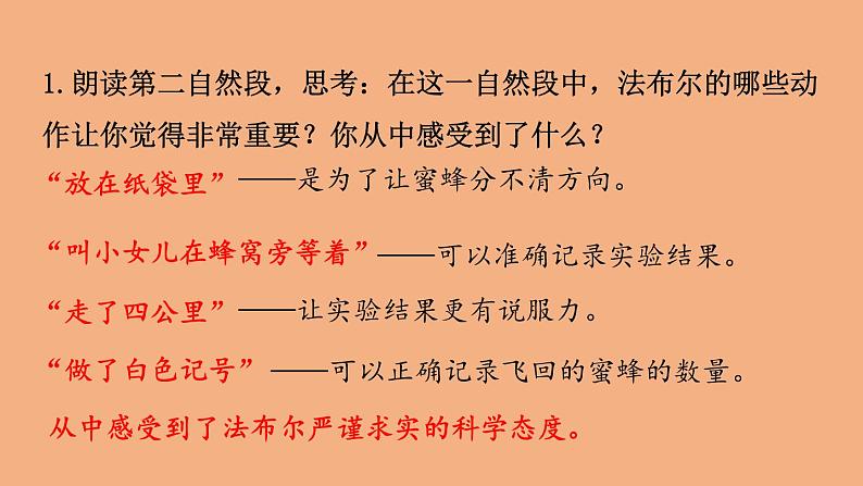 蜜蜂PPT课件403