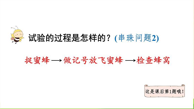 蜜蜂PPT课件7第8页