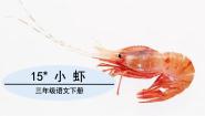 人教部编版三年级下册小虾教学演示ppt课件
