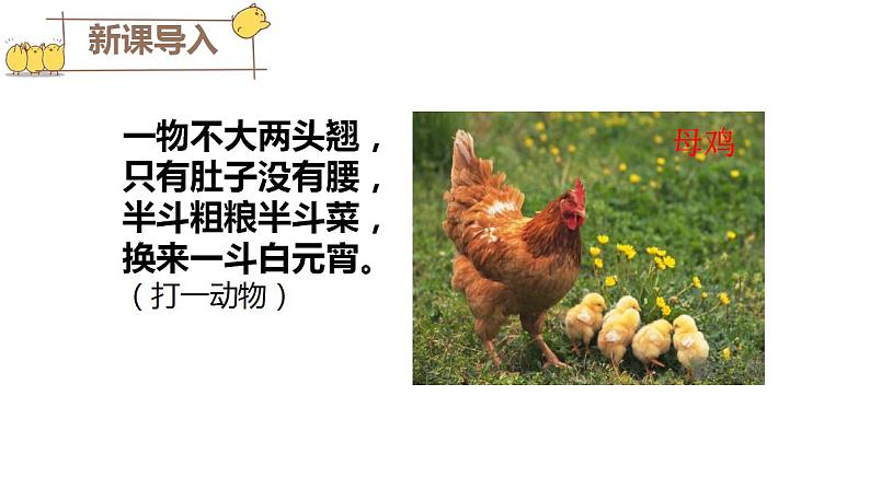 统编版语文四年级下册14《母鸡》(课件)第1页