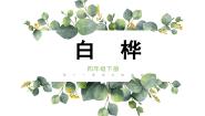 小学语文人教部编版四年级下册白桦背景图课件ppt