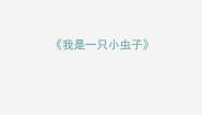 人教部编版二年级下册我是一只小虫子教学演示课件ppt