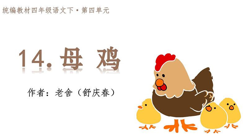 统编版语文四年级下14《母鸡》课件第2页