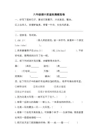 期中质量检测模拟卷(试题)2023-2024学年统编版语文六年级下册