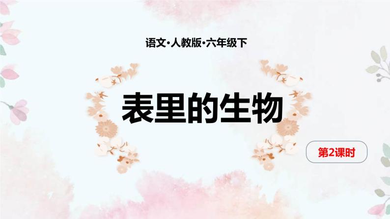 表里的生物PPT课件201