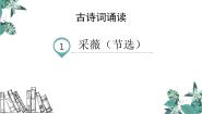 小学语文人教部编版六年级下册采薇背景图课件ppt