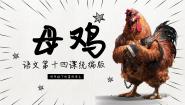 语文四年级下册母鸡图片ppt课件