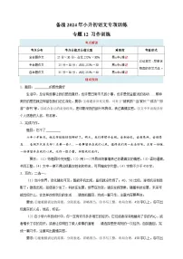 专题12 习作训练-备战2024年小升初语文专项训练（含答案解析）