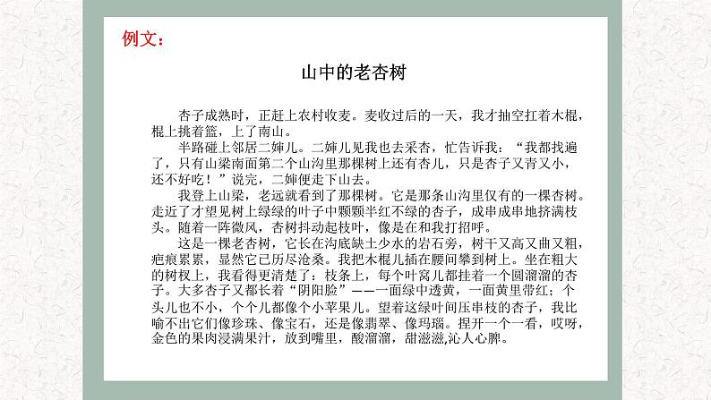4 专题二、 写景状物类文章阅读 (课件)2024学年小升初语文考点突破08