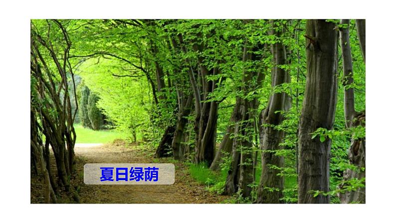 第1课《古诗三首 三衢道中》第三课时(教学课件)-2023-2024学年三年级语文下册同步精品课堂系列(统编版)第6页