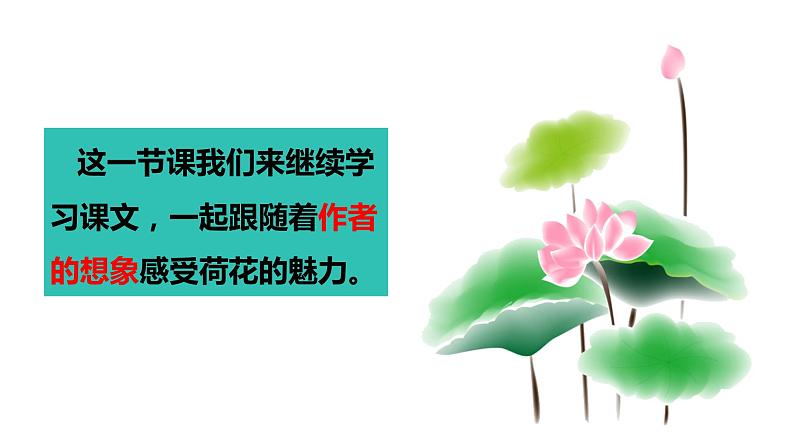 第3课《荷花》第二课时(教学课件)-2023-2024学年三年级语文下册同步精品课堂系列(统编版)第3页