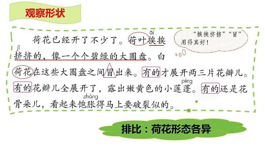 第3課《荷花》第二課時(shí)（教學(xué)課件）-2023-2024學(xué)年三年級語文下冊同步精品課堂系列（統(tǒng)編版）第6頁