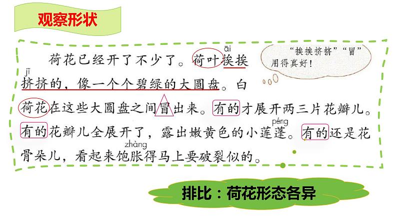 第3课《荷花》第二课时(教学课件)-2023-2024学年三年级语文下册同步精品课堂系列(统编版)第6页