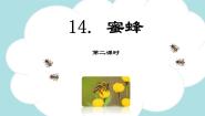 小学人教部编版 (五四制)14 蜜蜂教学课件ppt