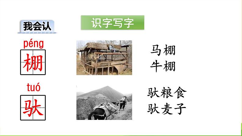 小马过河PPT课件8第8页