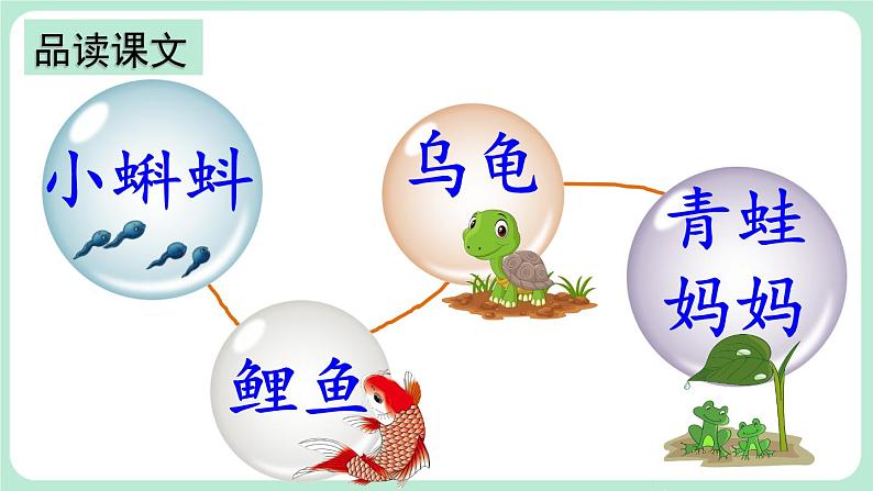 【核心素养】部编版小学语文二上 1 《小蝌蚪找妈妈》 课件+教案03
