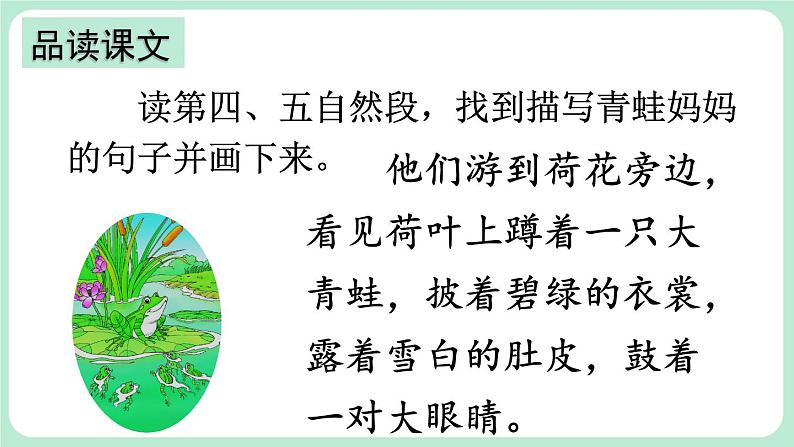 【核心素养】部编版小学语文二上 1 《小蝌蚪找妈妈》 课件+教案04