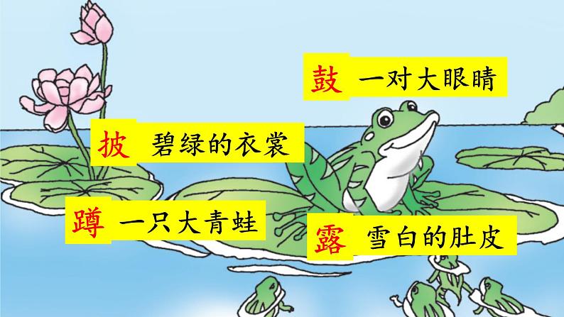 【核心素养】部编版小学语文二上 1 《小蝌蚪找妈妈》 课件+教案05