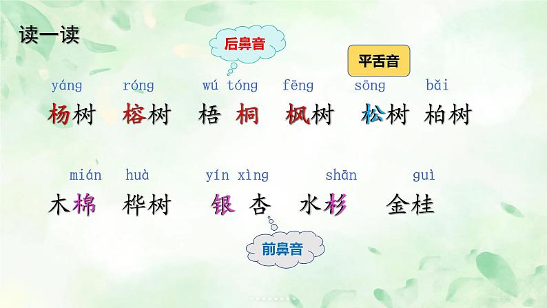 部编版小学语文二上识字2《树之歌》课件第5页
