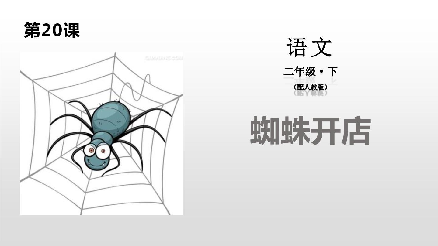 小学语文人教部编版二年级下册蜘蛛开店课文ppt课件