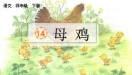 人教部编版四年级下册母鸡课文ppt课件