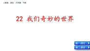 人教部编版三年级下册我们奇妙的世界授课课件ppt