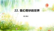 小学语文人教部编版三年级下册我们奇妙的世界课文课件ppt