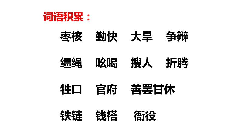 枣核PPT课件306