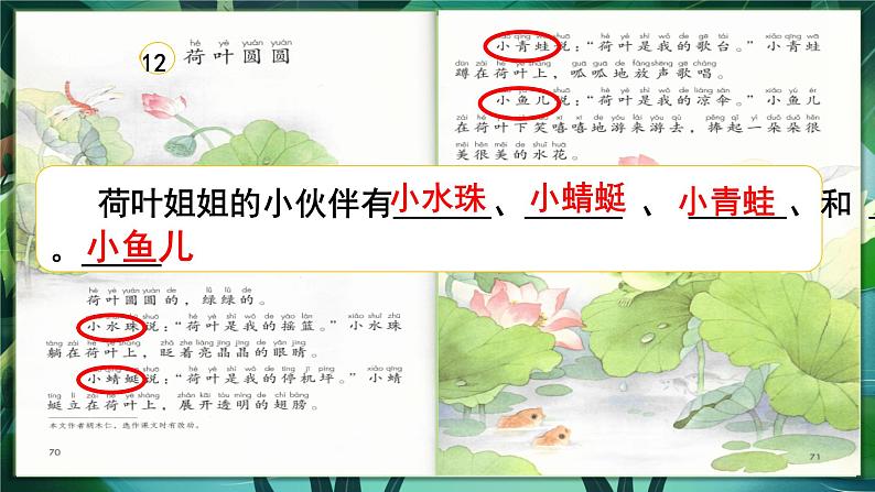 荷叶圆圆 课件第4页