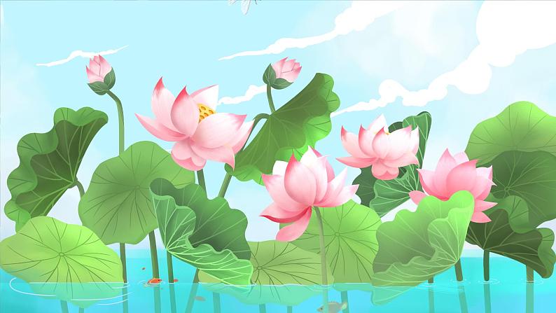 荷叶圆圆 课件第6页