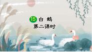 小学语文人教部编版四年级下册白鹅授课课件ppt