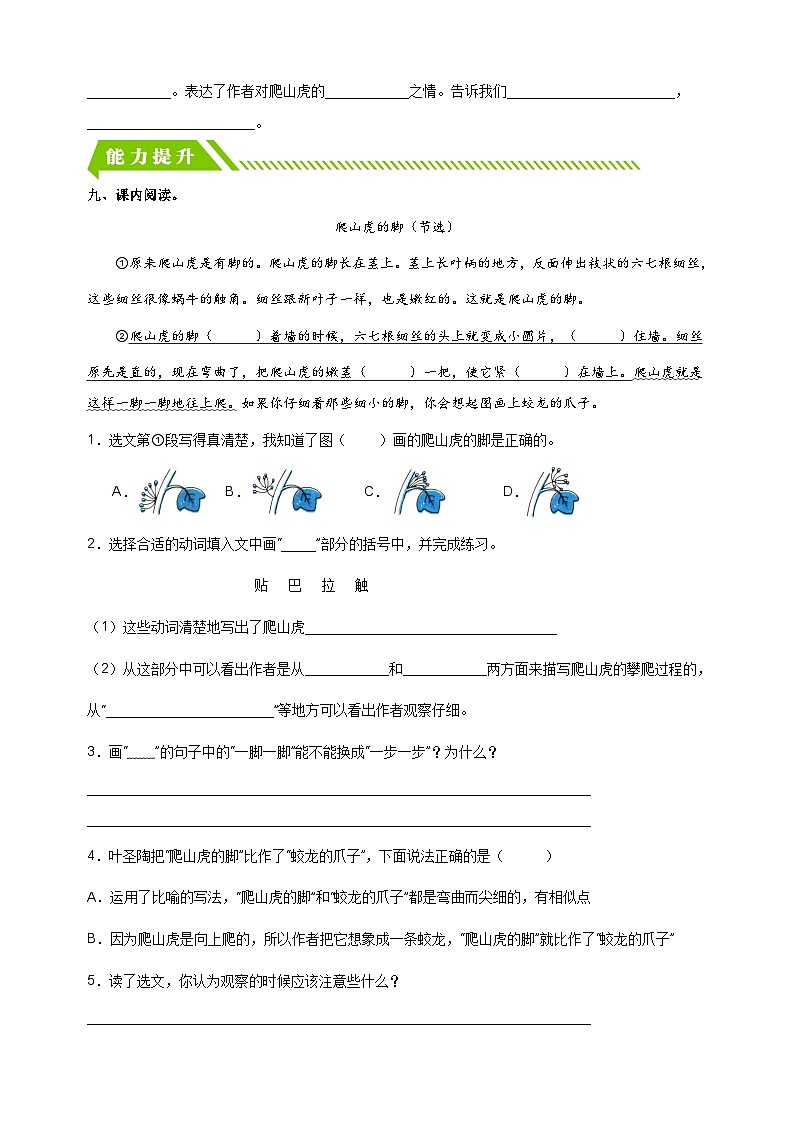 2023-2024学年人教部编版统编版四年级语文上册第10课《爬山虎的脚》同步分层作业第3页