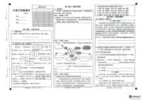 山东省菏泽市牡丹区2023-2024学年三年级下学期4月期中语文试题