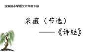 人教部编版六年级下册采薇备课ppt课件