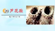 人教部编版四年级下册芦花鞋评课ppt课件
