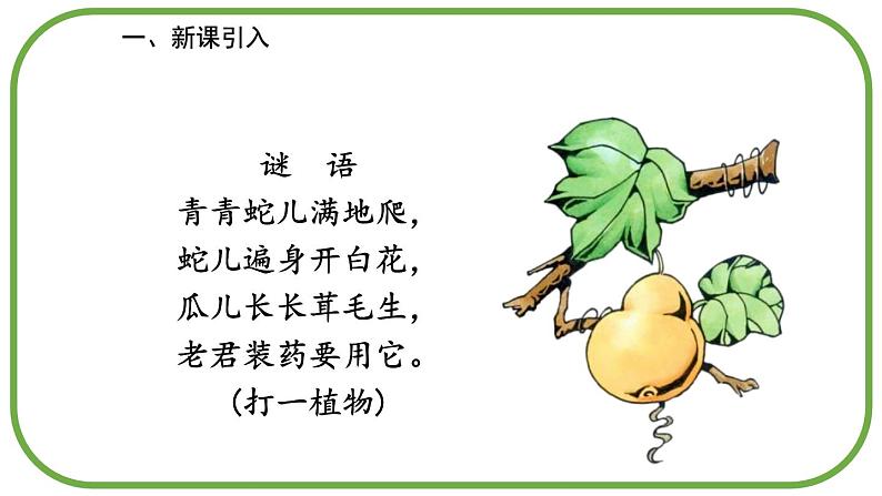 宝葫芦的秘密PPT课件7第2页