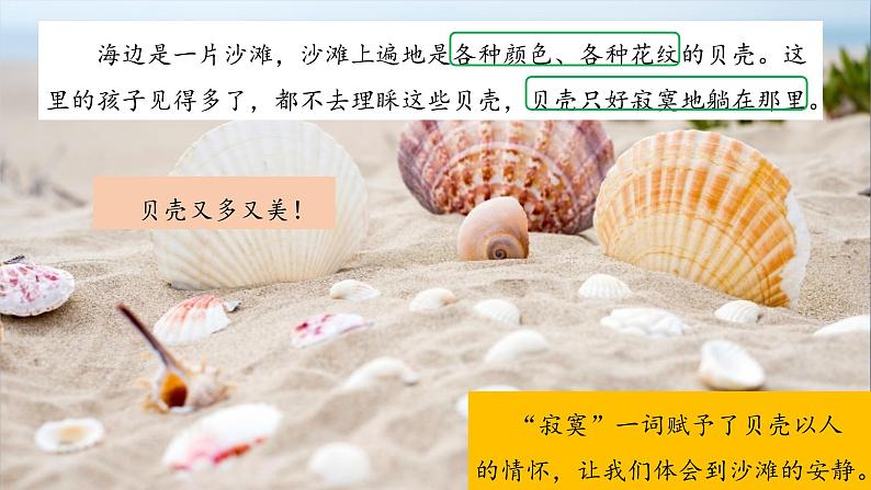 【新课标】部编版小学语文三上第19课《海滨小城》(第二课时)课件+教案+学习任务单+分层作业08