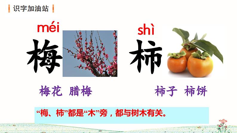 第八单元 语文园地(课件)二年级语文下册(部编版)第4页