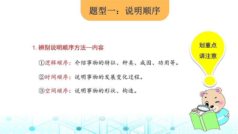 小升初语文总复习18阅读 说明性文本阅读课件第5页