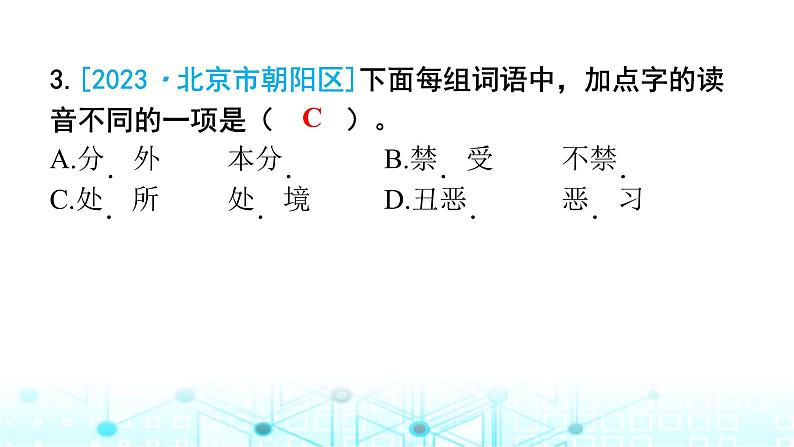 小升初语文总复习作业1专题一汉字(字音)课件第3页