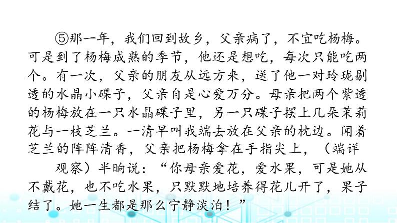 小升初语文总复习作业18专题八文学类文本阅读(一)课件第7页