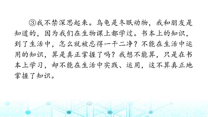 小升初语文总复习作业22专题一0一议论性文本阅读课件第3页