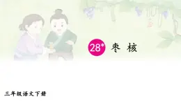 28 枣核 课件人教版三年级语文下册