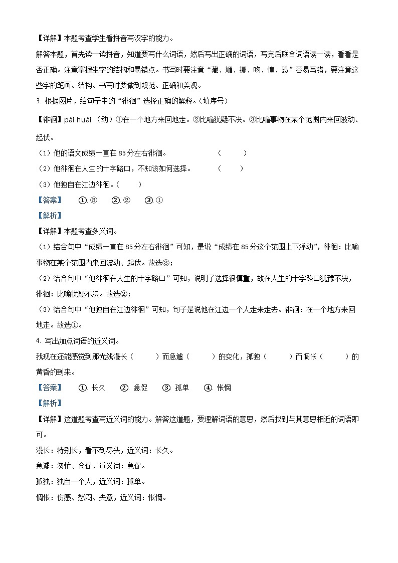 2023-2024学年河南省周口市沈丘县县直小学等校部编版六年级下册期中考试语文试卷(原卷版+解析版)02
