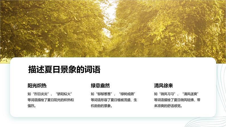 2024年小学《词语运用和句子结构之关于夏天的词语:如赤日炎炎、烈日炎炎、骄阳似火等。》专项复习,统编版语文六年级下册课件PPT第5页