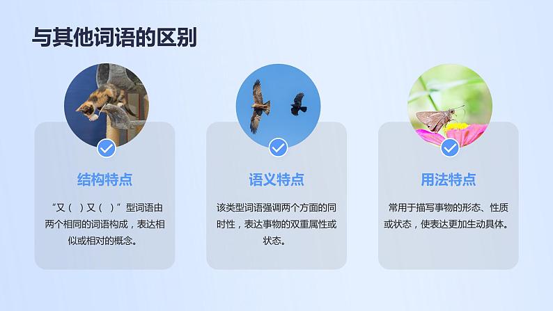 2024年小学《词语运用和句子结构之又( )又( )型词语:如又唱又跳、又细又长等。》专项复习,统编版语文六年级下册课件PPT06