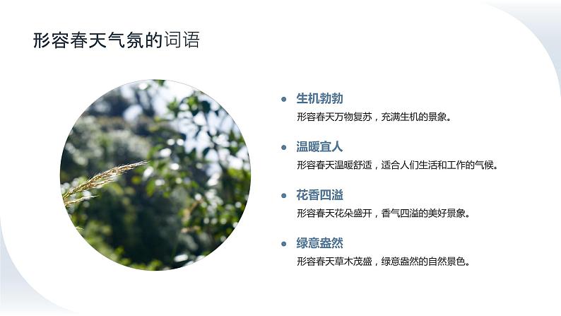 2024年小学《词语运用和句子结构之关于春天的词语:如春回大地、万物复苏、桃红柳绿等。》专项复习,统编版语文六年级下册课件PPT第5页