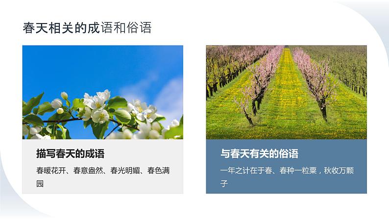 2024年小学《词语运用和句子结构之关于春天的词语:如春回大地、万物复苏、桃红柳绿等。》专项复习,统编版语文六年级下册课件PPT第6页